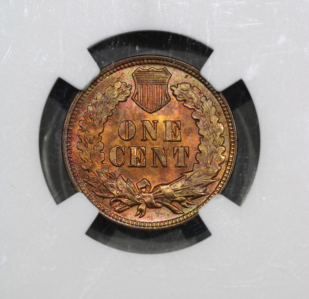 1904 (MS65 RD) Indian Head Cent 1c NGC - TONED REVERSE